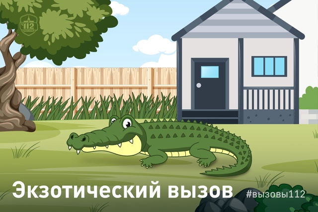 Экзотический вызов